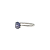 Elegant White Gold Ring with Enchanting Purple Sapphire